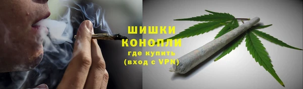 индика Осинники