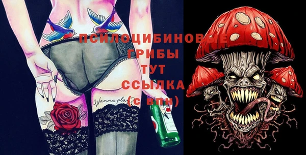 индика Осинники