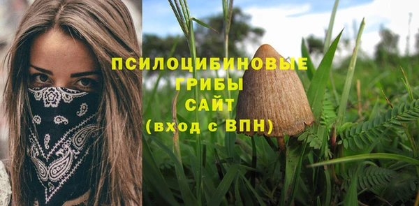амф Арсеньев