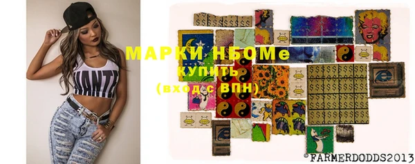 индика Осинники
