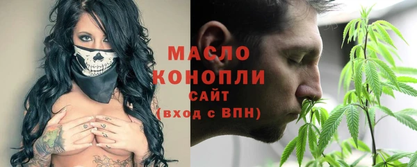 индика Осинники