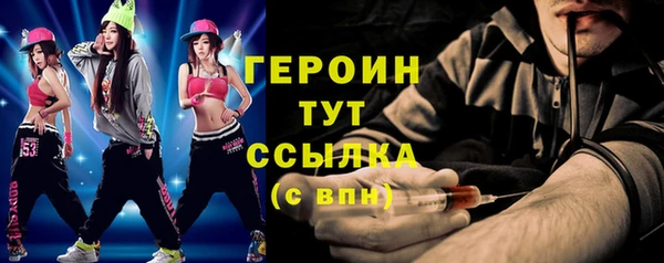 индика Осинники